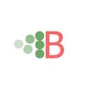 Brightmerge Logo
