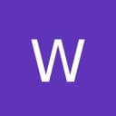 WIS International Logo